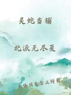 灵蛇当铺